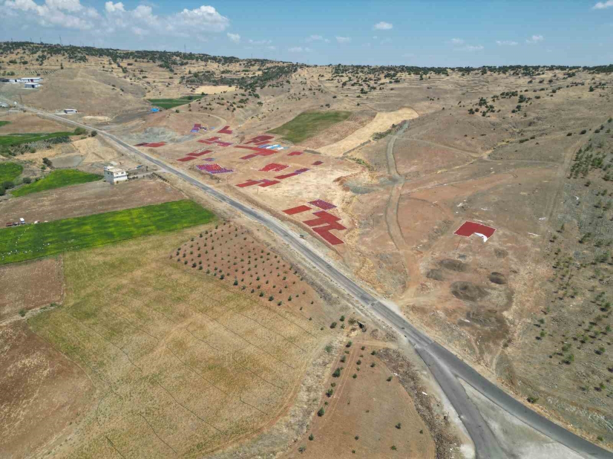Kilis’te biber kurutma mesaisi başladı, sınırın sıfır noktası kırmızıya büründü
