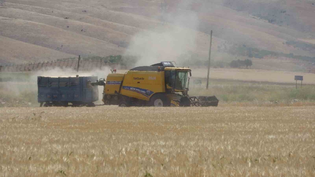 Adıyaman’da hububat hasadı arpa ile başladı
